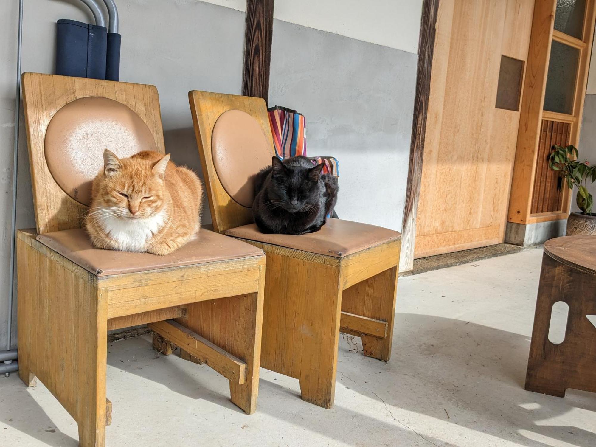 猫と図書館のある宿 草地家 Kusachike Minamiawaji Exteriör bild