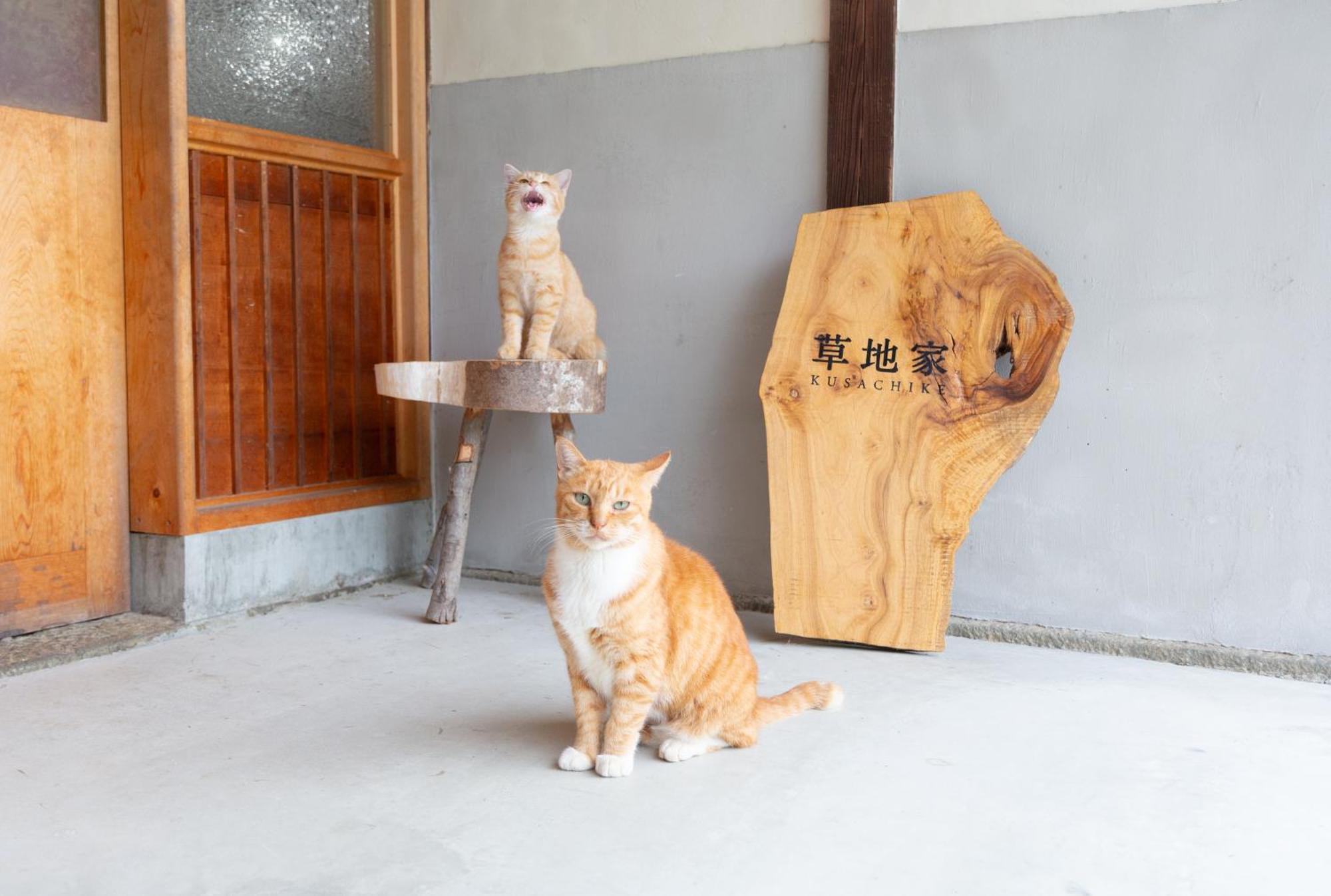 猫と図書館のある宿 草地家 Kusachike Minamiawaji Exteriör bild